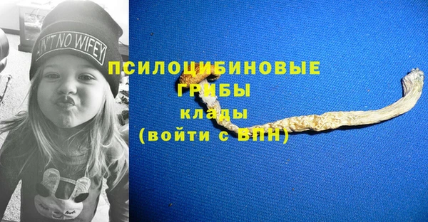 мяу мяу мука Осинники