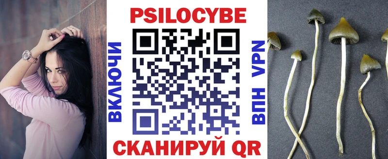 Купить  Цимлянск  Псилоцибиновые грибы ЛСД 